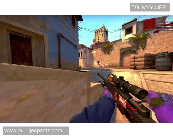 提升个人能力聚焦CSGOTES模型的实践与应用探索